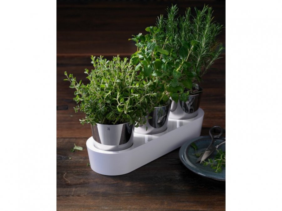 bylinková zahrádka od WMF