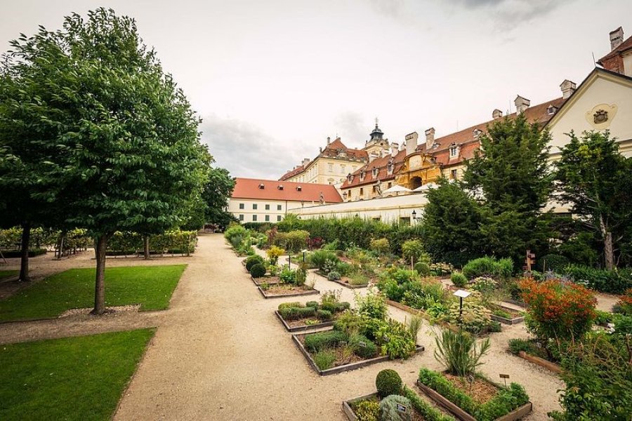 Lu & Tiree Chmelar ve Valticích