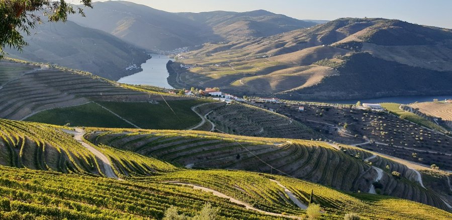 Douro, Portugalsko
