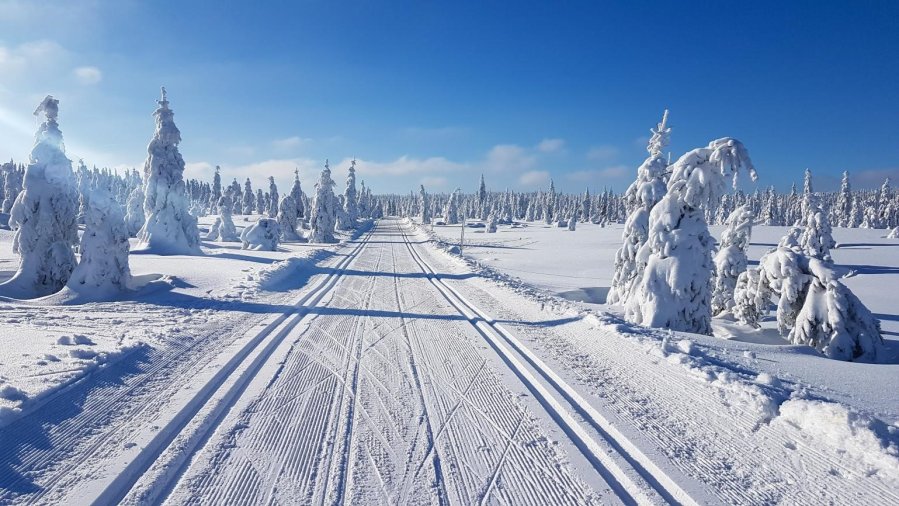 Jizerská magistrála