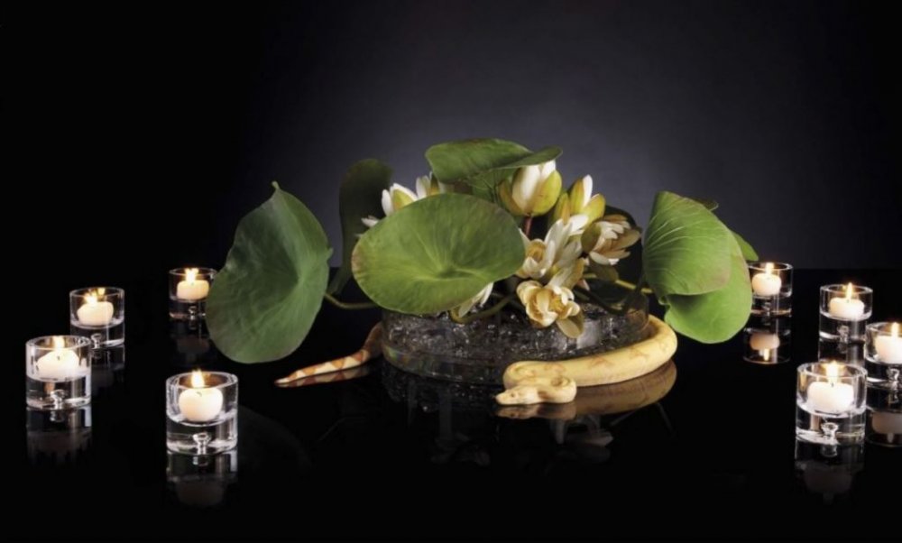 FENG SHUI: Do you have your home furnished due to its principles?
