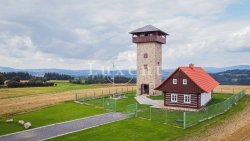 rozhledna u borovice