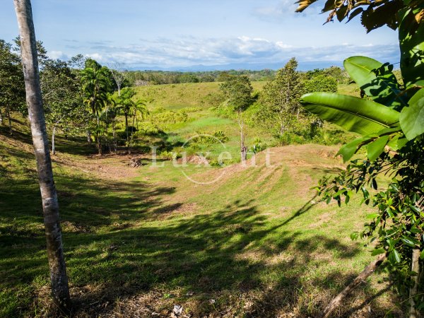 Kostarika prostředí