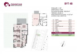 ervenýDub-kat-list-4B