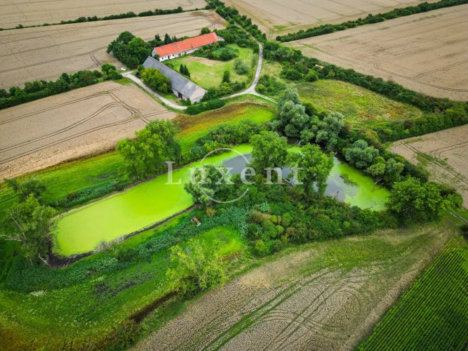 Sale of a farmstead with a pond and farm buildings, 4.3 ha – Vlkov nad Lesy, Nymburk district