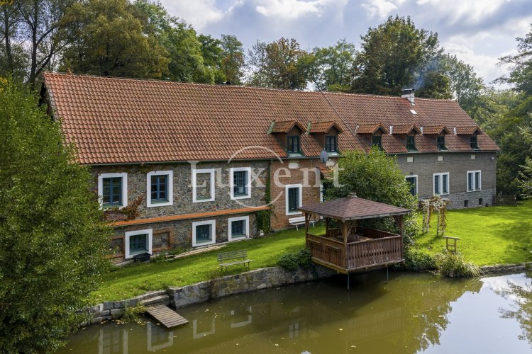 Prodej rodinného sídla s historickým vodním mlýnem, rybníkem a rozlehlými pozemky, 15ha, Stříbrná Skalice, Praha východ