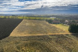 klasterni skalice nove pozemky